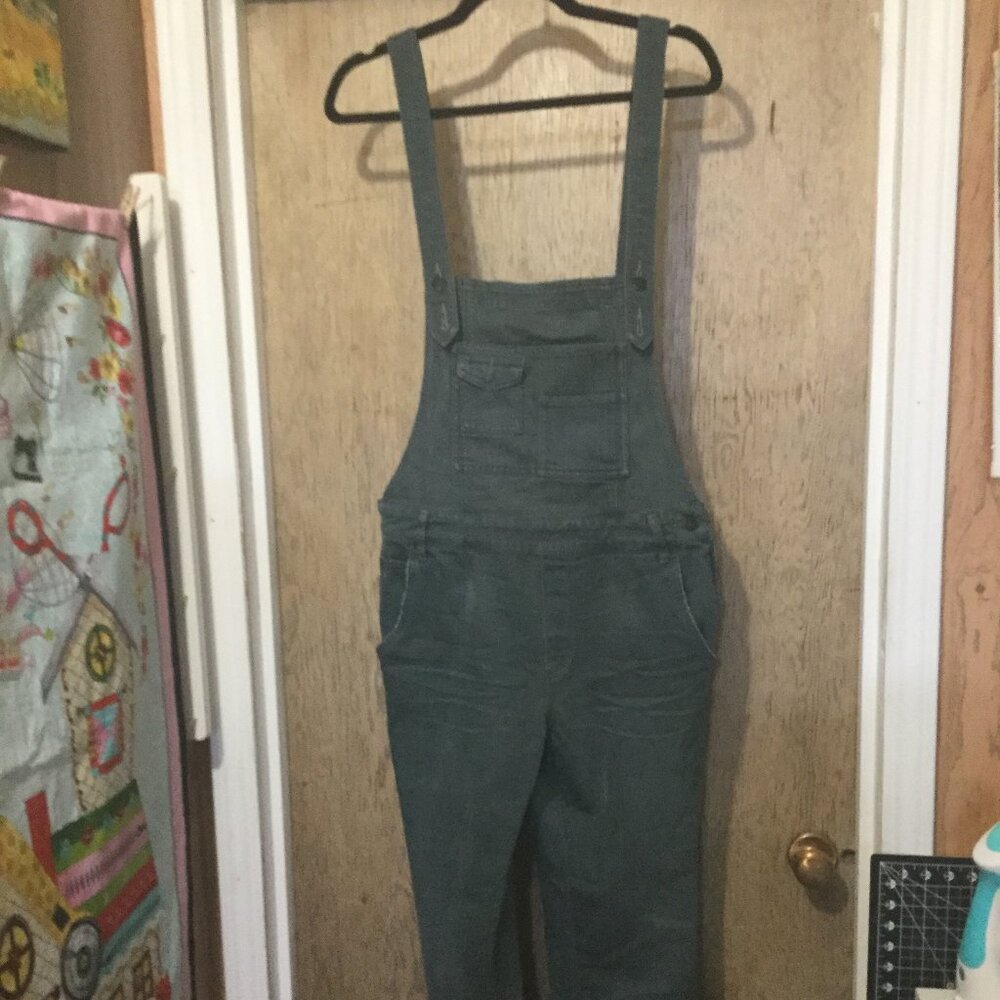 Free People overalls can cross in the back  has a side zip and button closure